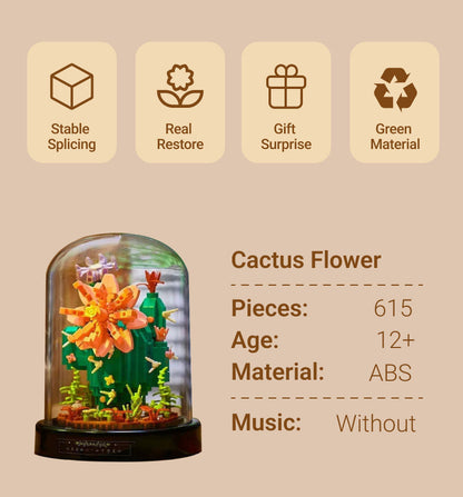 Cactus Flowerr-DIY Luminous Building Box